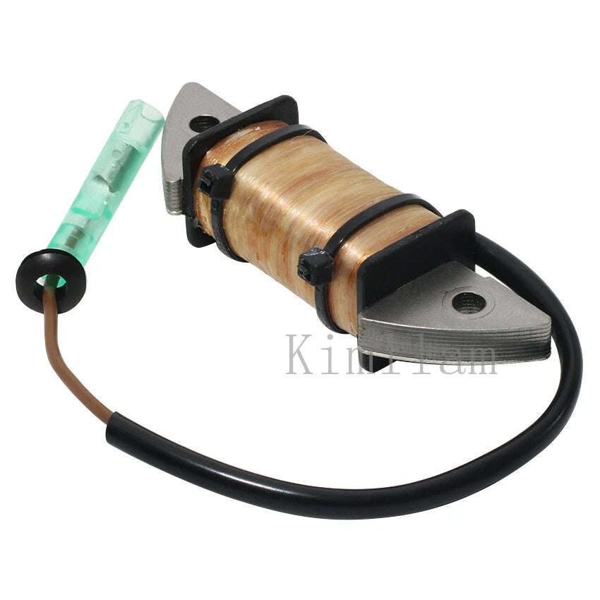 Charge Coil for Yamaha Outboard 2HP 1995-2006, 2010