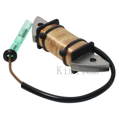 Charge Coil for Yamaha Outboard 2HP 1995-2006, 2010