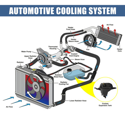 Coolant Radiator Reservoir Tank with Cap & Sensor for BMW F10 528i (2011-2017)