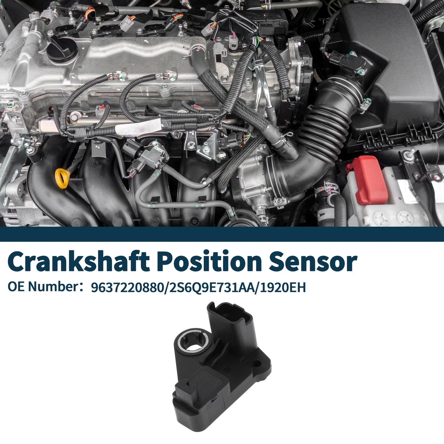 Crankshaft Position Sensor for Ford Fiesta 1.4 TDCi (2008-2012) 1 x Sensor
