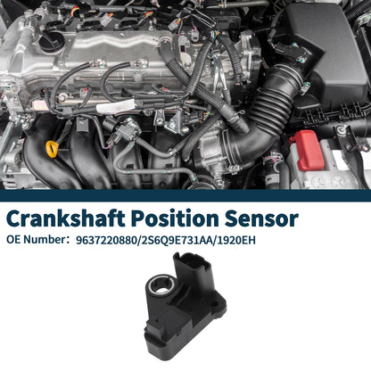 Crankshaft Position Sensor for Ford Fiesta 1.4 TDCi (2008-2012) 1 x Sensor