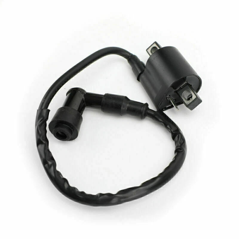 Ignition Coil for Taotao 50cc-250cc ATV/Scooter (2010-2023)