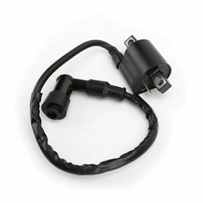 Ignition Coil for Taotao 50cc-250cc ATV/Scooter (2010-2023)
