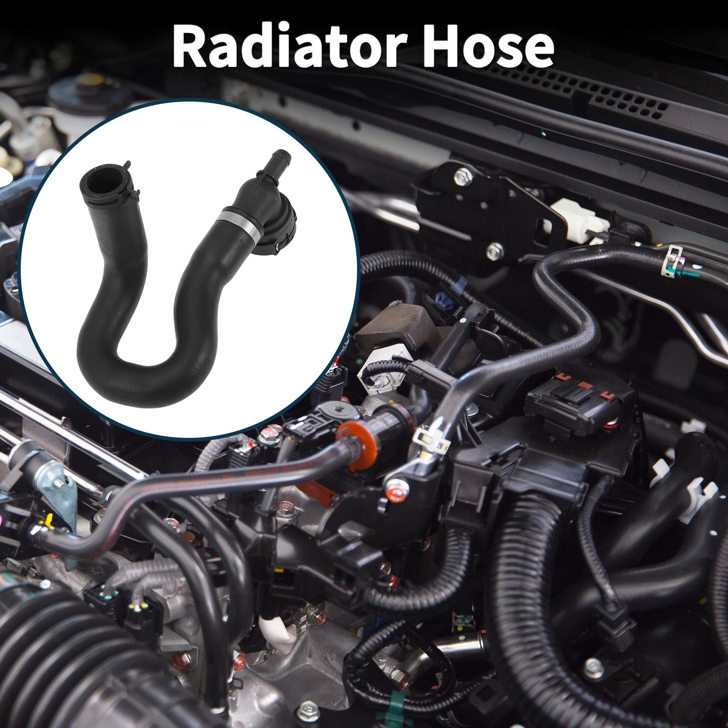 Radiator Hose Water Tank Drain Pipe for Ford Escape (2013-2019)