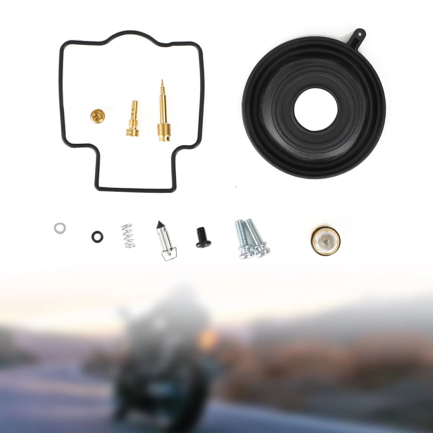 Carburetor Repair Kit for Kawasaki ZXR250 (1989-1995)