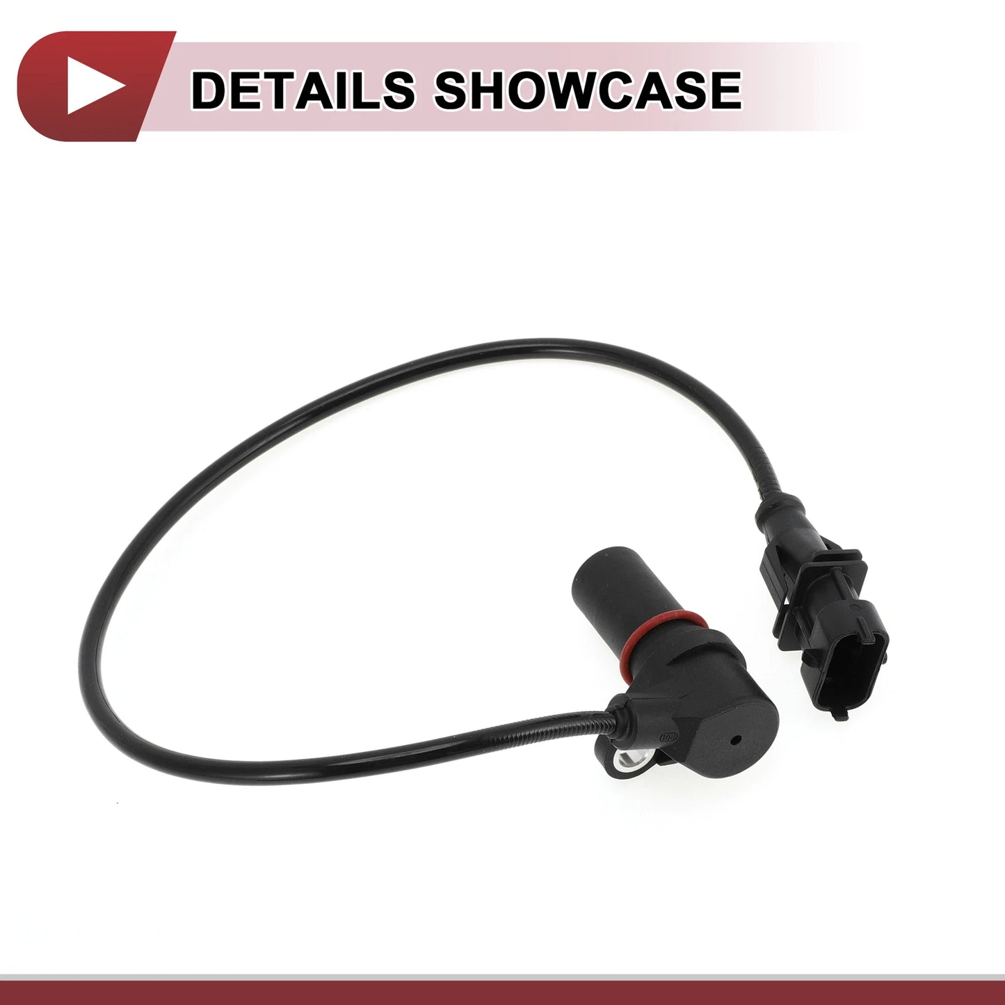 Crankshaft Position Sensor for Ford (2 x 2000-2005) Black Metal Plastic