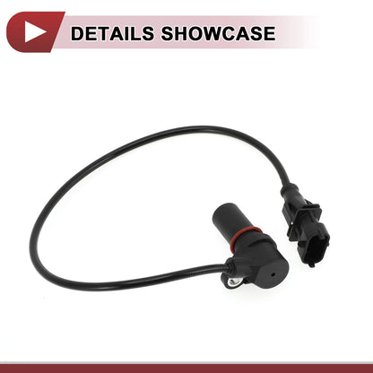 Crankshaft Position Sensor for Ford (2 x 2000-2005) Black Metal Plastic