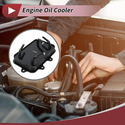 Engine Oil Cooler for Car No.256204R000, Transmission Cooler (1 Pcs)
