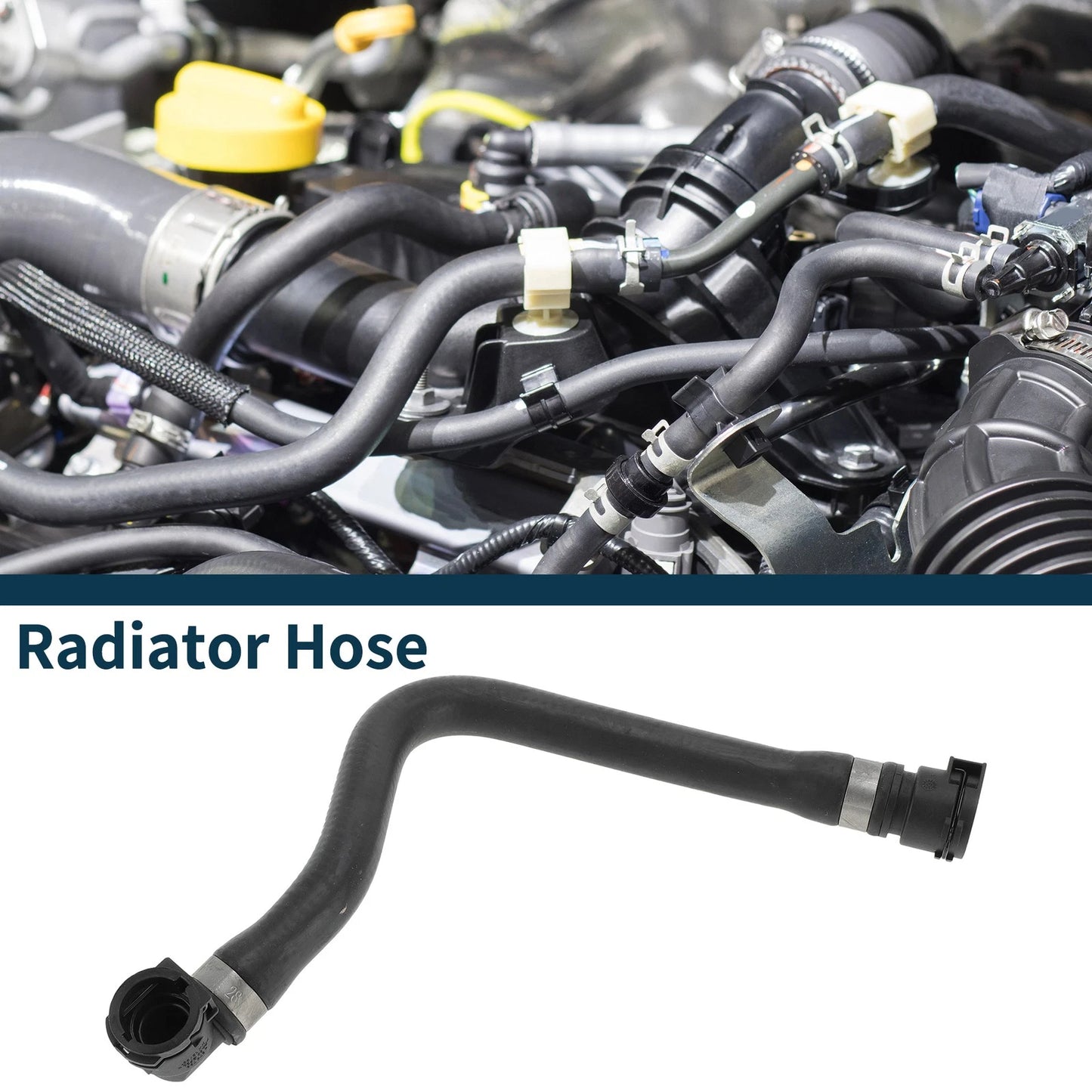 Radiator Hose for BMW 545i 4.4L (2004-2005)