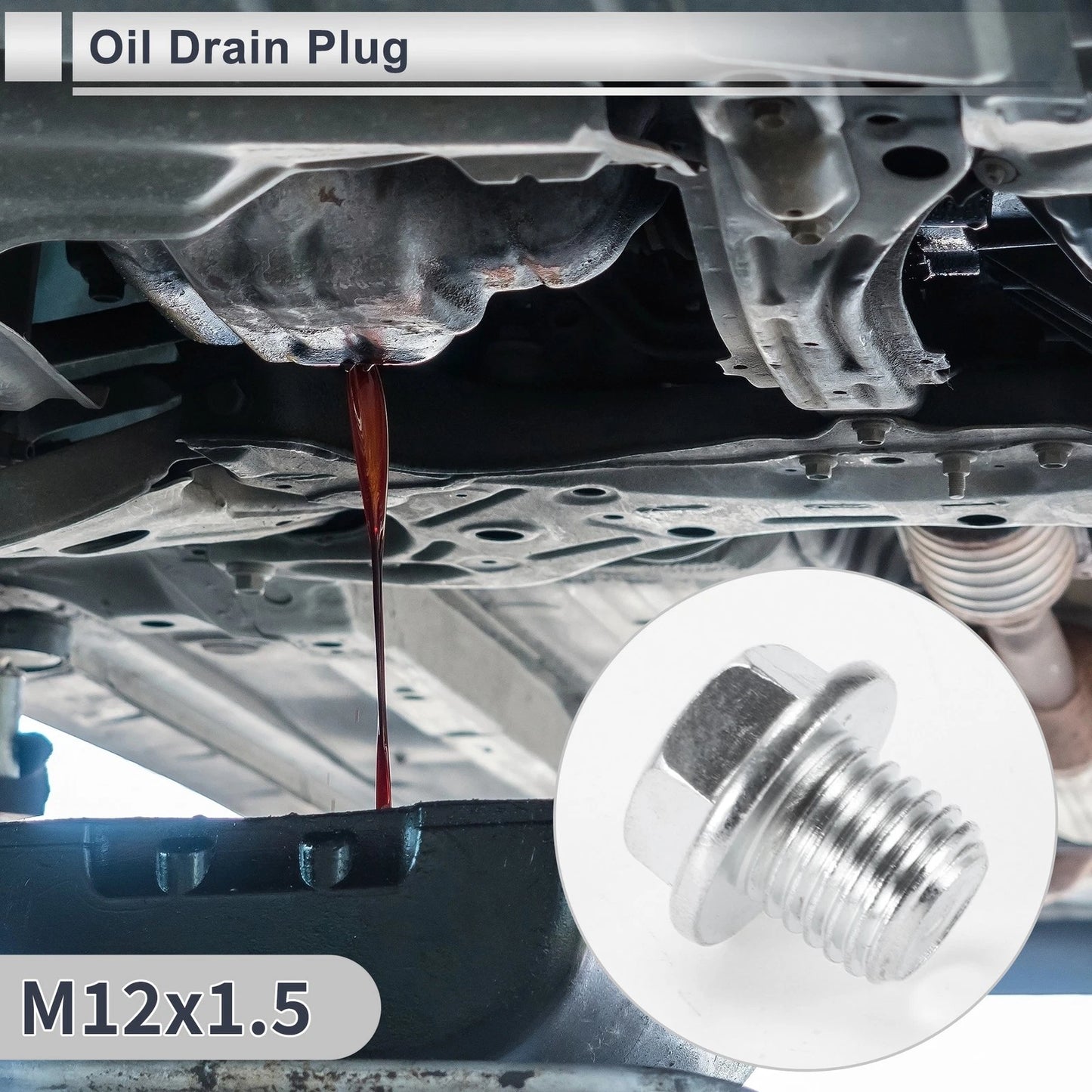 Oil Drain Plug M12x1.5, 0.73" Height with Gasket for Car, Motorcycle
