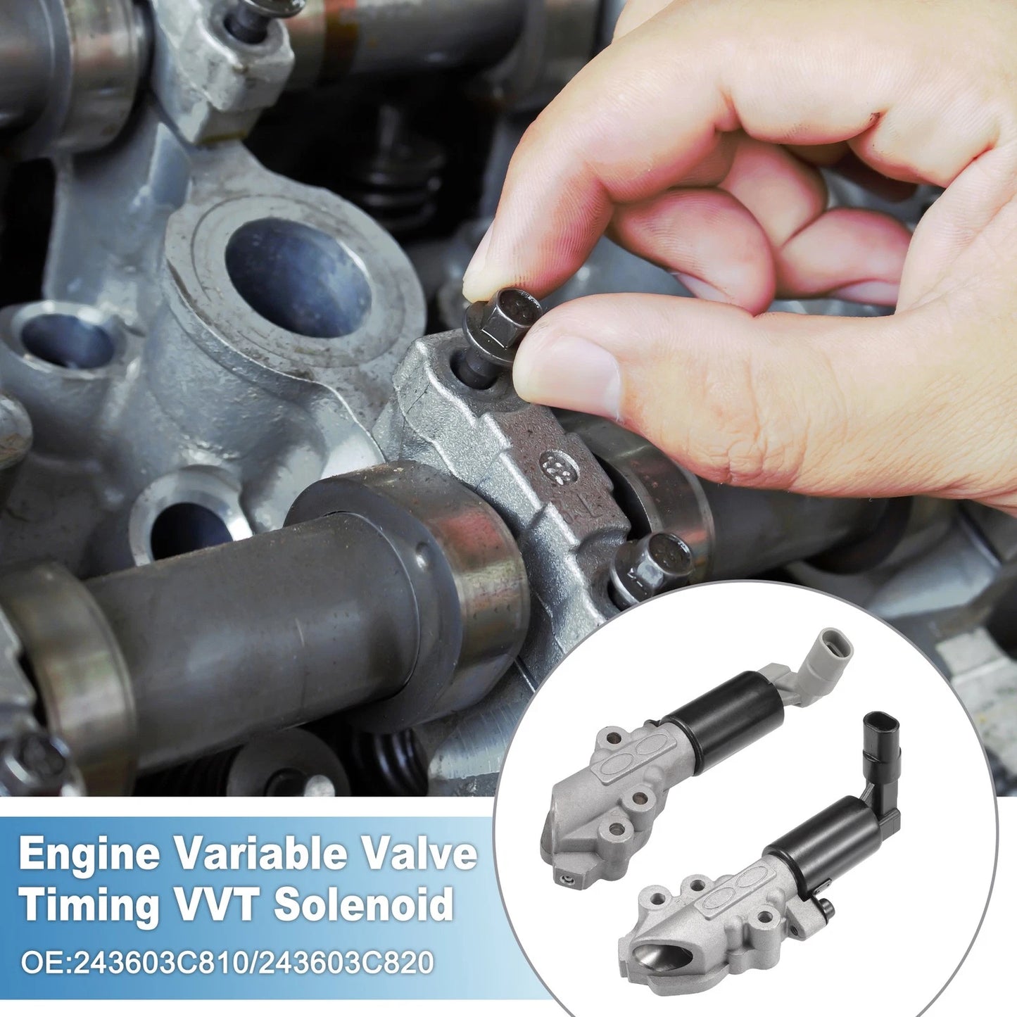 VVT Solenoid for Kia Borrego (2009)