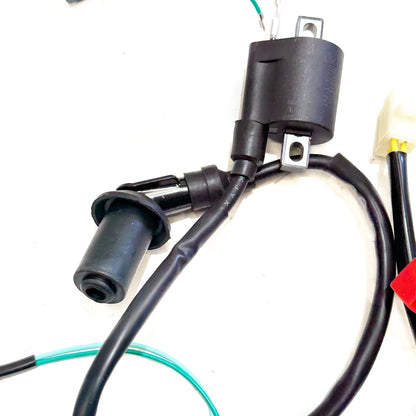 DC Wire Wiring Harness Loom for GY6 200cc 250cc Engine ATV Buggy