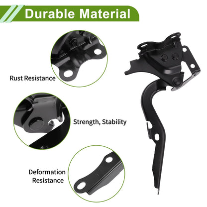 Hood Hinges 1 Pair for Lexus RX350 (2010-2015)