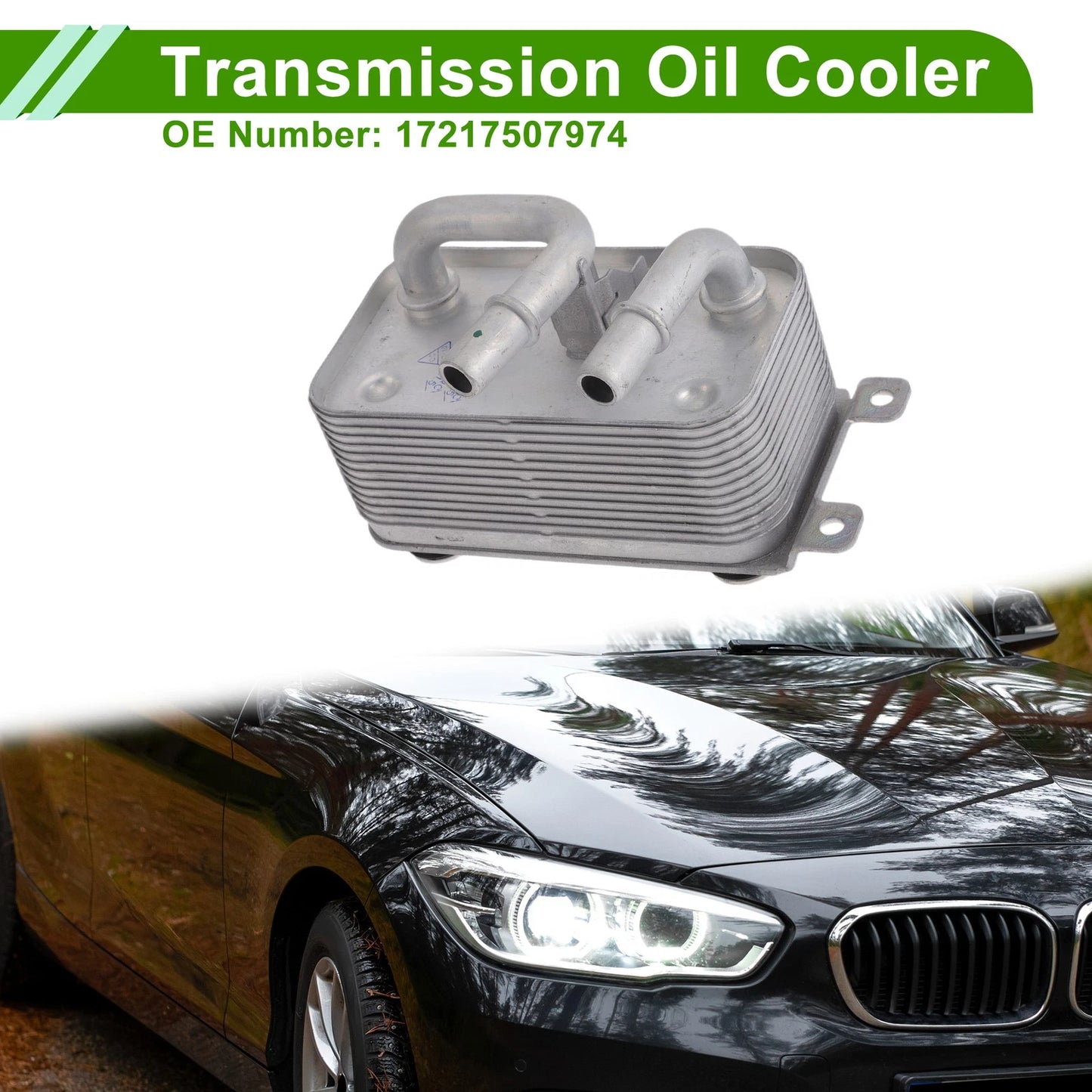 Engine Oil Cooler for BMW 525i (2001-2007)