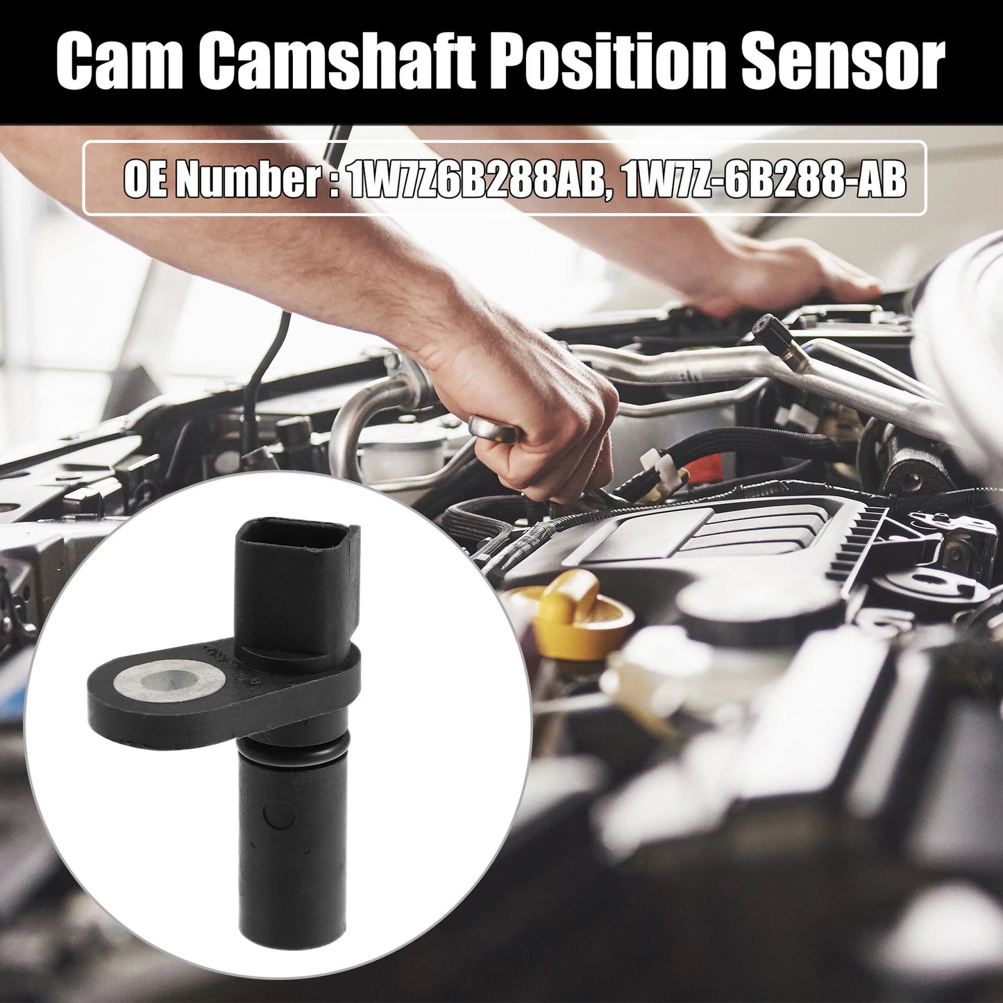 Camshaft Position Sensor for Ford Crown Victoria (1992-2011)