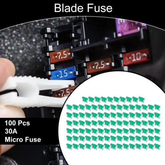 30A Blade Fuse for Car Boat Truck RV Motorcycle 100 Pcs
