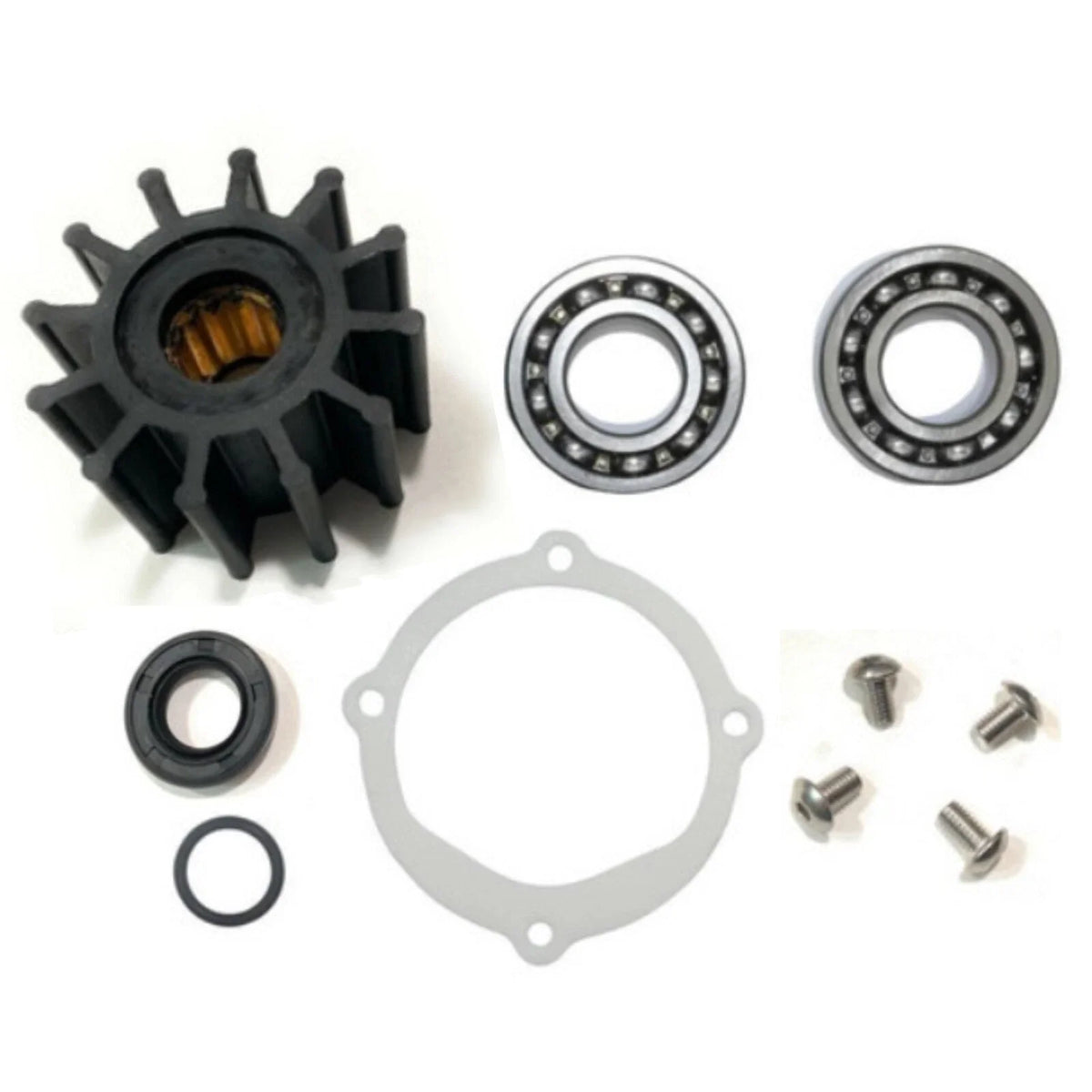 Water Pump Repair & Impeller Kit for Johnson F6B-9 (2009-2019)