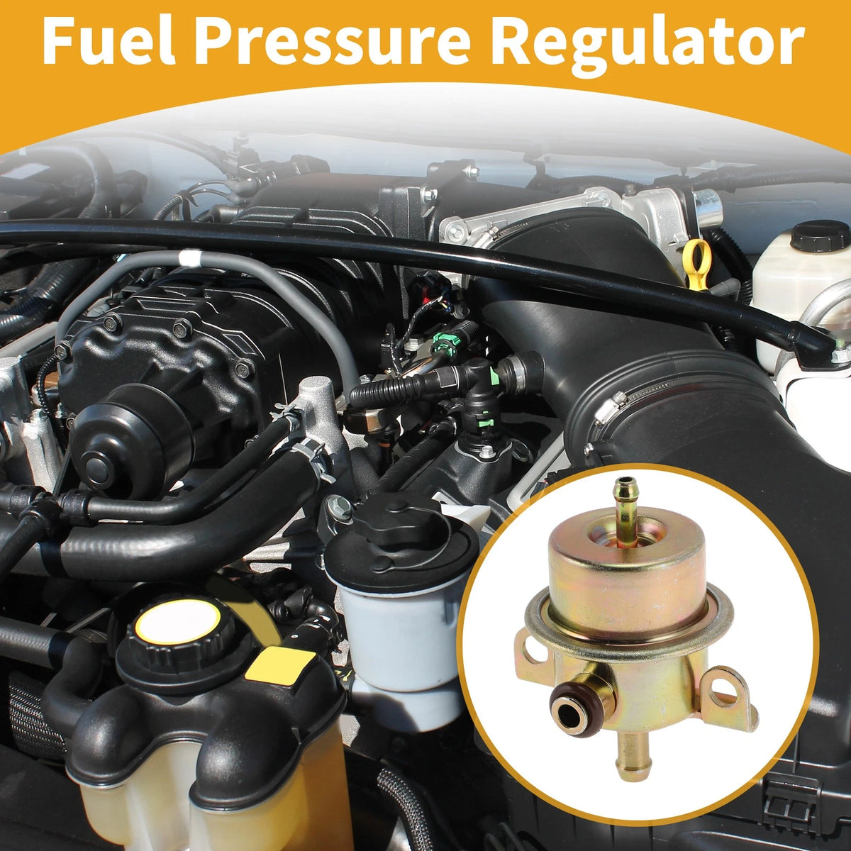 Fuel Injection Pressure Regulator for BMW 325 (1986 - 1988)