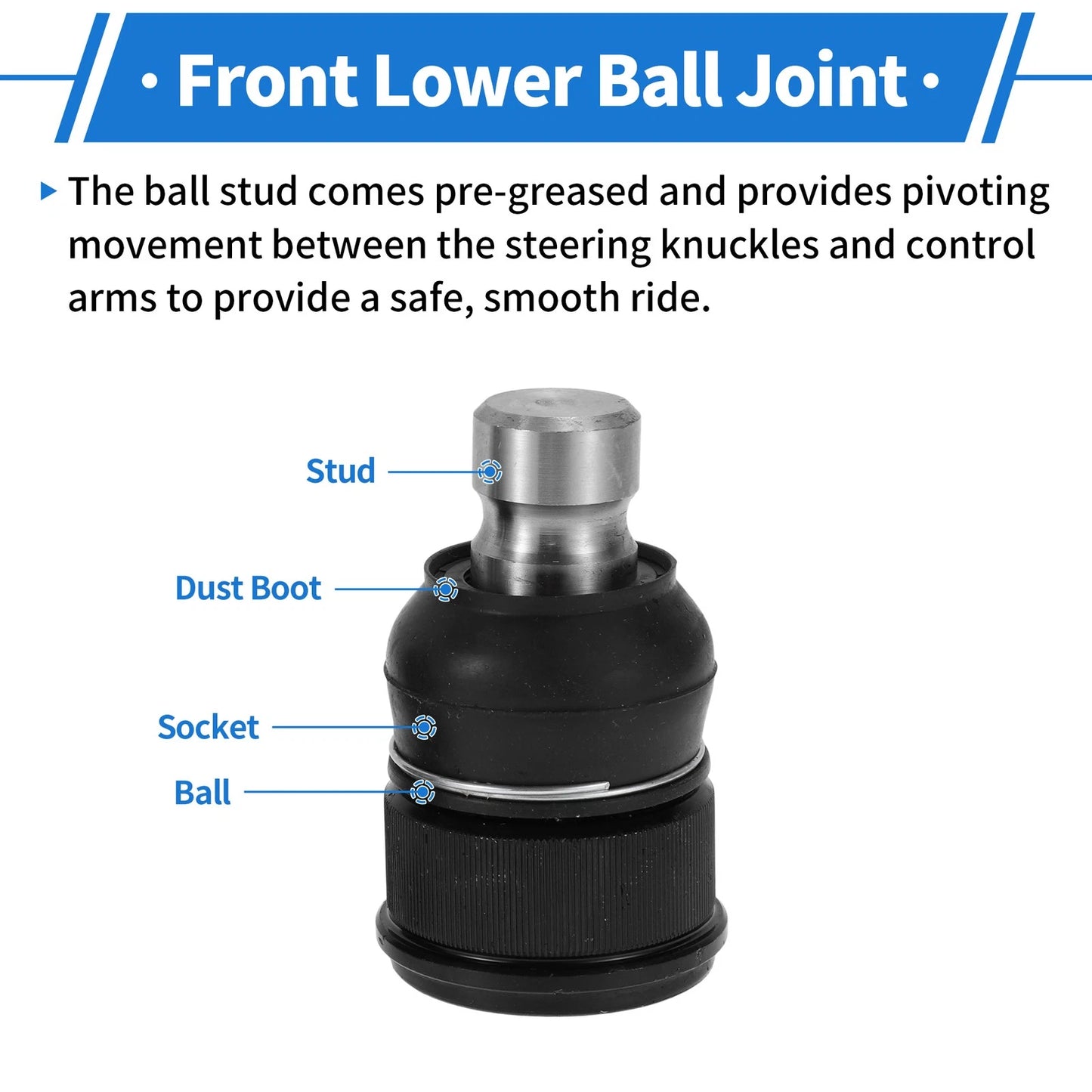 Front Lower Ball Joints for Ford Edge (2007-2014)