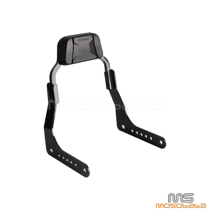 Mini Sissy Bar Kit for Harley Low Rider EI Diablo FXRST (2022-2024)