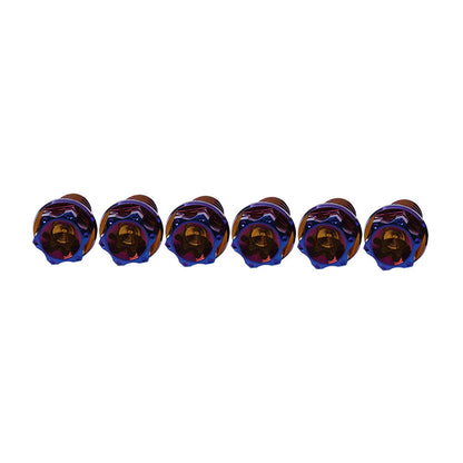6pcs M8x40mm Titanium Torx Head Flange Bolts for Motorcycle Bike