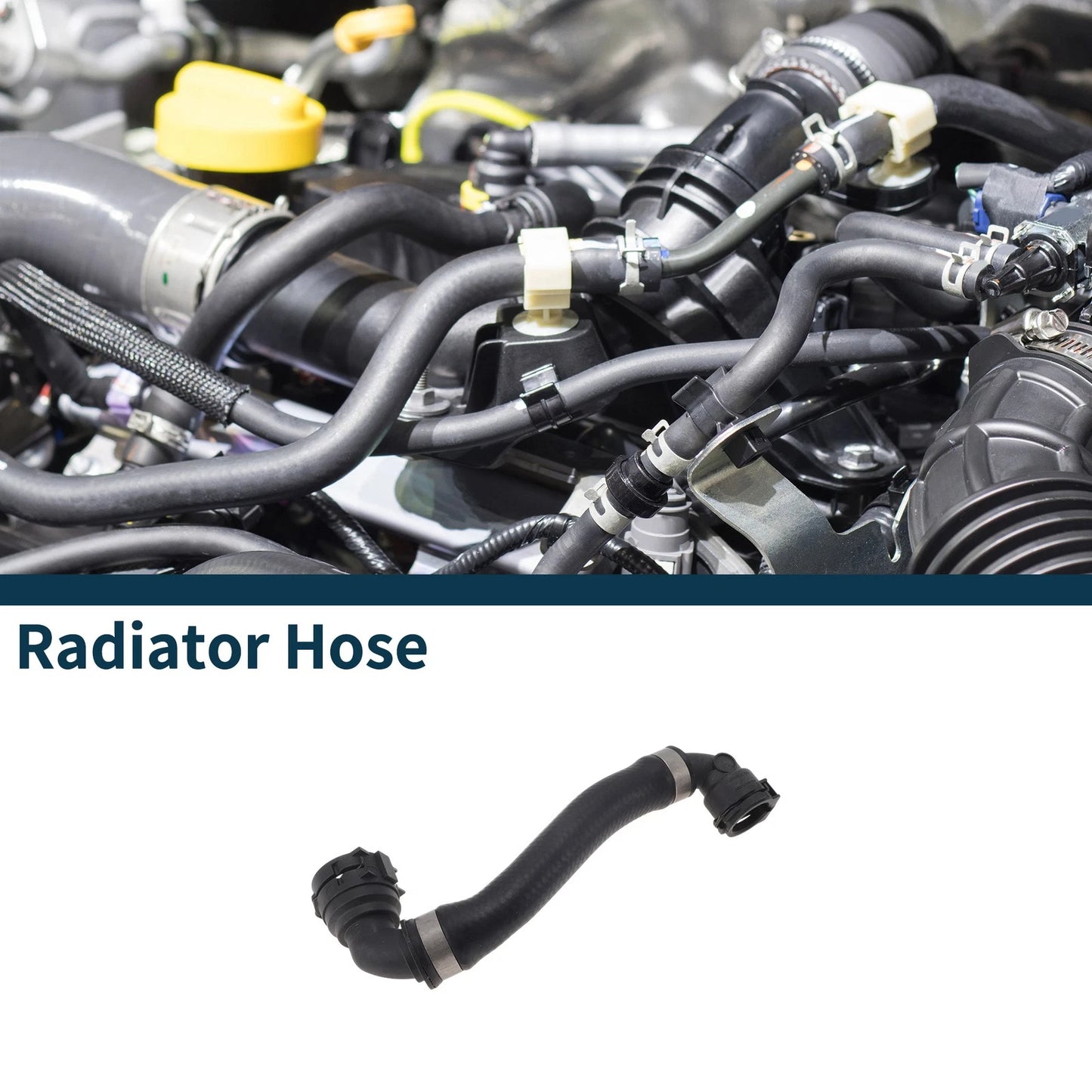 Radiator Hose for Mini Cooper 2014-2019 2.0L L4 (2014-2019)