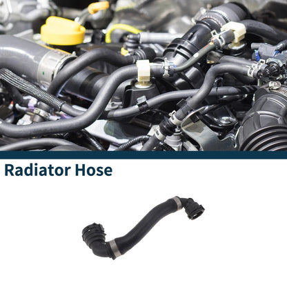 Radiator Hose for Mini Cooper 2014-2019 2.0L L4 (2014-2019)
