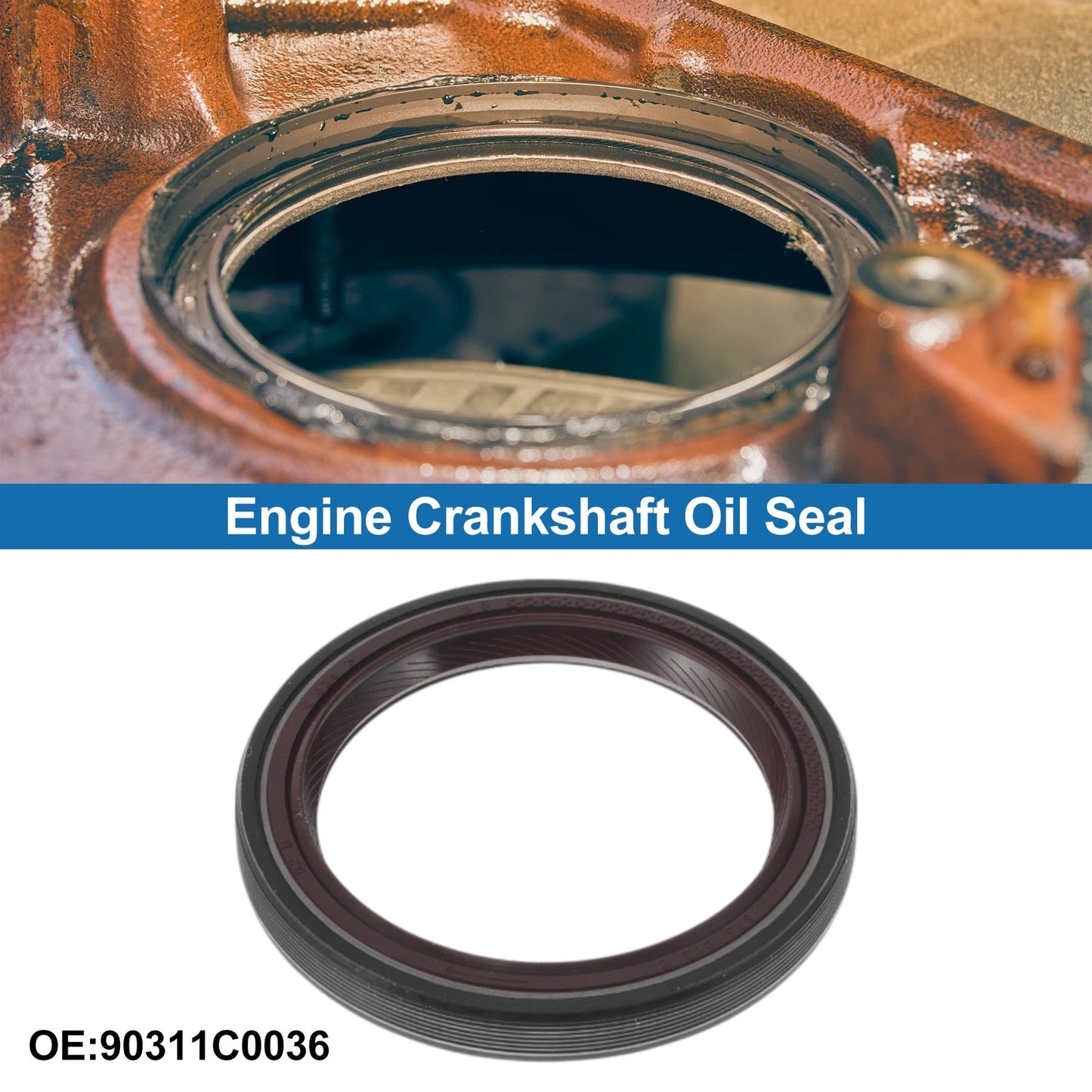Crankshaft Oil Seal for Toyota Sienna (2010-2013)
