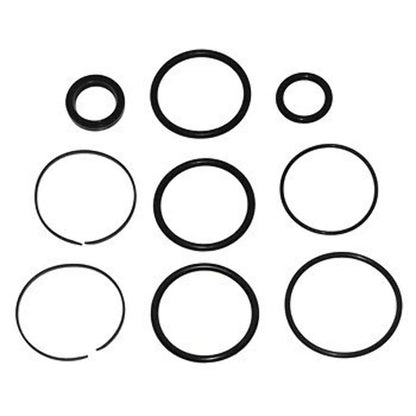 Tilt/Trim Cylinder Seal Kit for OMC Cobra (1990-1998)
