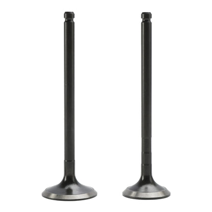 Intake Valve for Polaris Ranger Magnum Sportsman (2000-2002)
