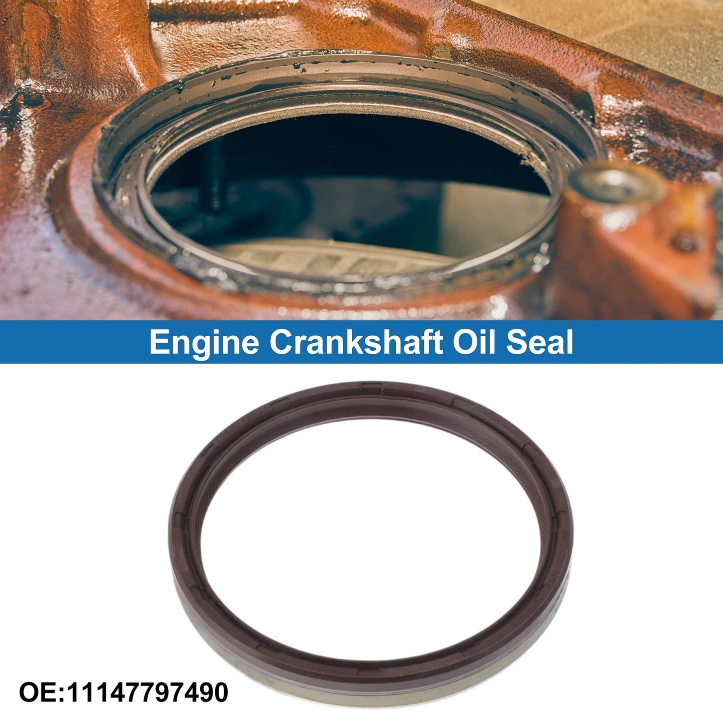 Rear Crankshaft Oil Seal for BMW 3 Series (2004-2019) 1 x Main Seal