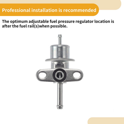 Fuel Pressure Regulator for Honda Accord (1988-1996) 1 Pc Metal