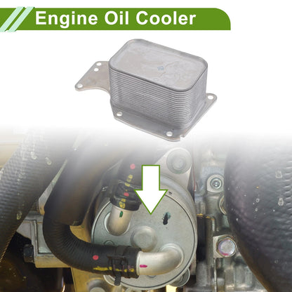 Engine Oil Cooler for BMW 320i XDrive (2012-2019)