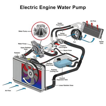 Electric Engine Water Pump for Ford Crown Victoria, Mustang (2003-2011)