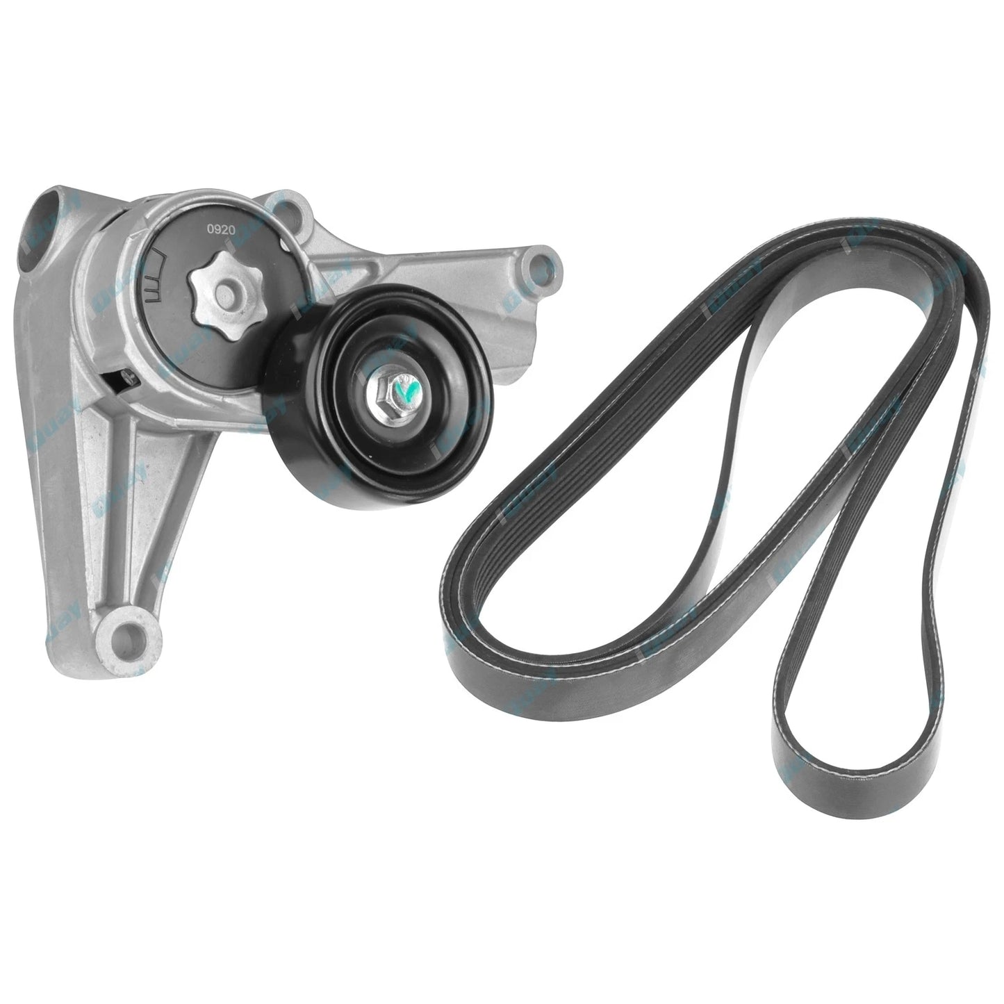Auto Tensioner Fan Drive Belt Pack for Commodore Statesman VS (1995-2000)