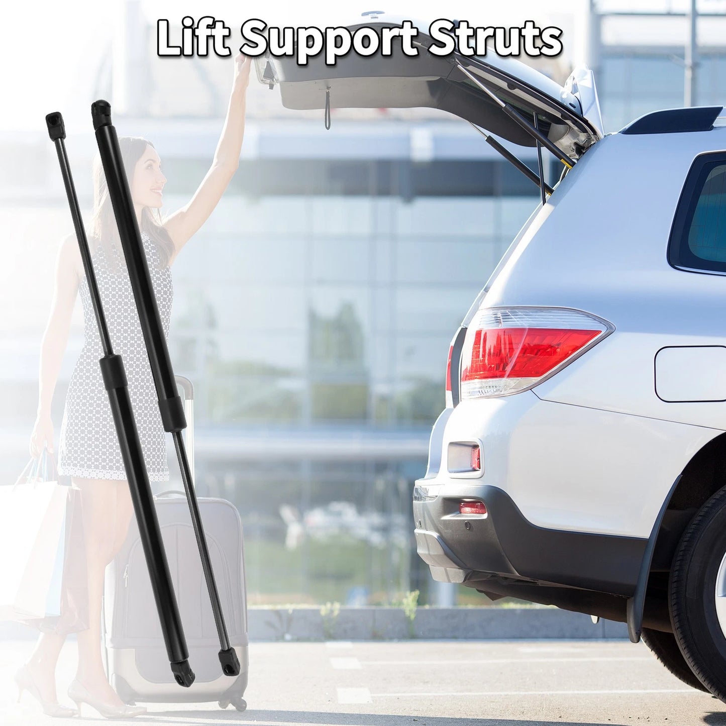 Rear Hatch Lift Supports for Nissan Quest (2004-2009, 2011-2013)