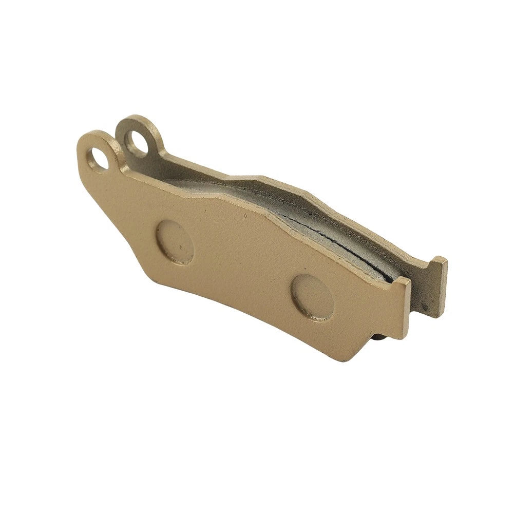 Front Brake Pads for Tiger 800 (2018-2020) - 2 x High-Performance Pads