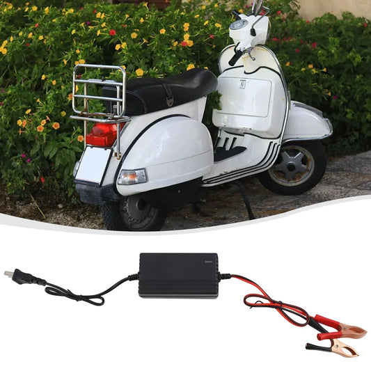 12V Lead-Acid Battery Charger for Various Models