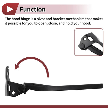 Hood Hinges 1 Pair for Honda Accord, Crosstour (2008-2012)