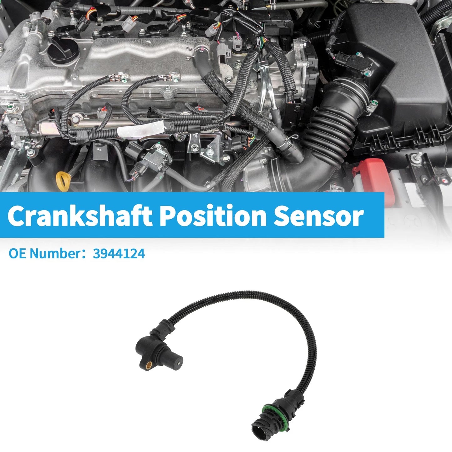 Crankshaft Position Sensor for VOLVO Trucks Engines (No.3944124)