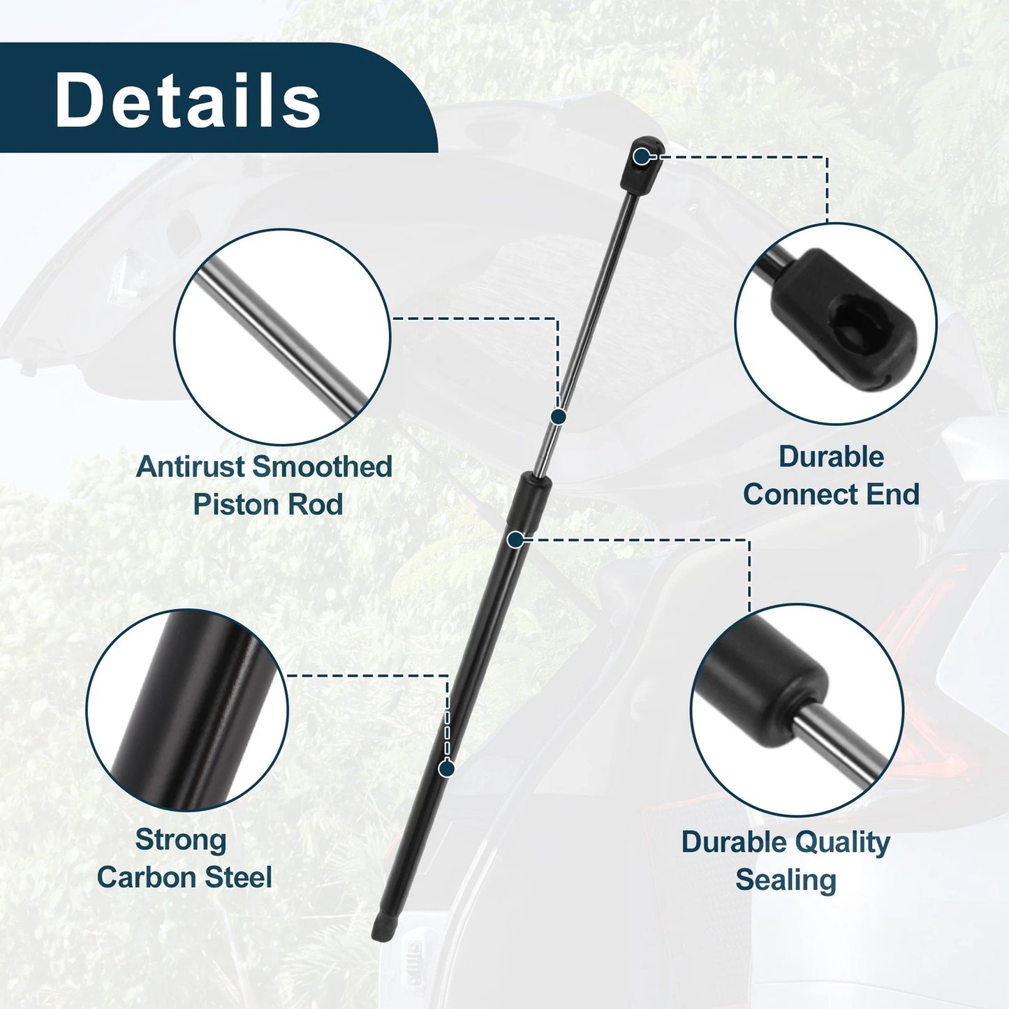 Tailgate Lift Supports Struts for BMW 5 Series E61 (2004-2010)