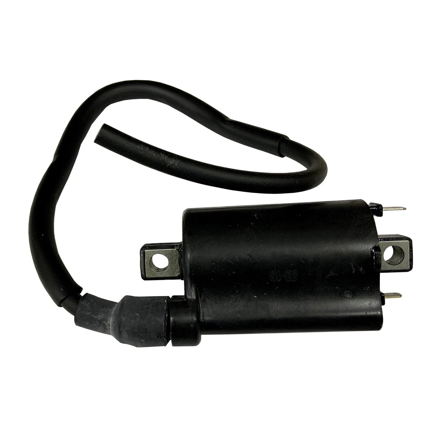 Ignition Coil for Kawasaki Many (2001–2020)