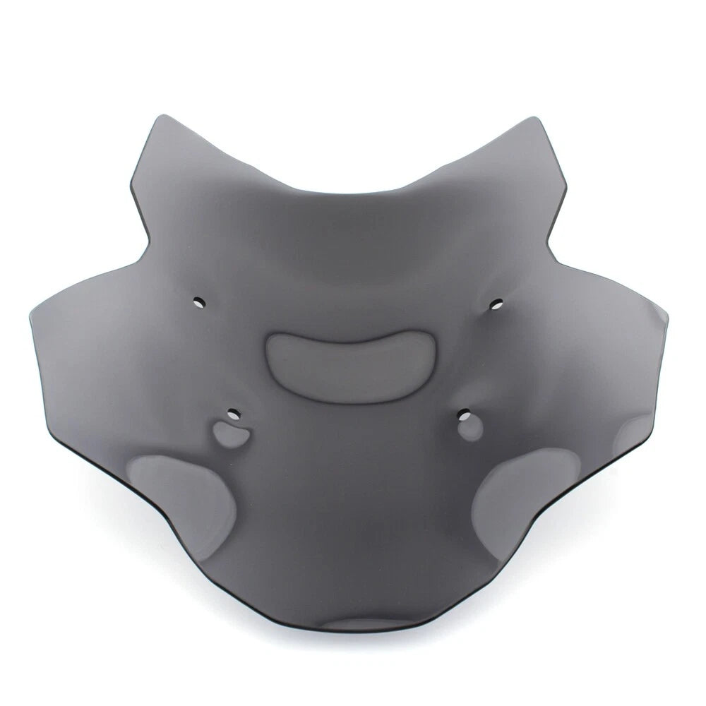 Front Windshield for BMW R1300GS (2023)