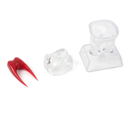 Dental Crystal Base Hard Plastic Tooth Molar Teaching Tool Kit for Dental Use