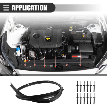 Front Bumper Hood Seal with Rivets for Dodge Challenger (2008 - 2023)