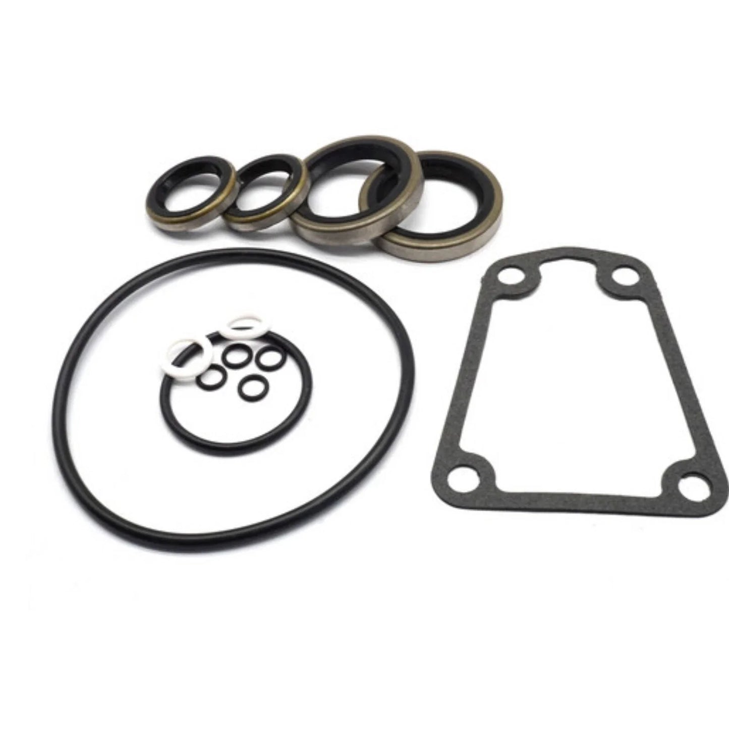 Lower Unit Seal Kit for Johnson/Evinrude 125HP (71-72)