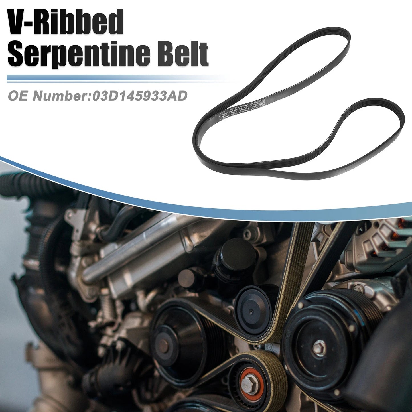 V-Ribbed Serpentine Drive Belt for Toyota Corolla (2003–2008)