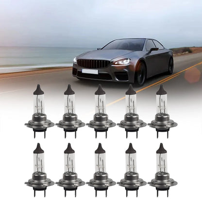 H7 Bulbs 10pcs 12V 55W Halogen Car Headlights Easy to Use