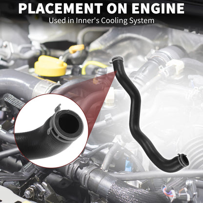 Radiator Hose for Ford Fiesta (2008-2023)