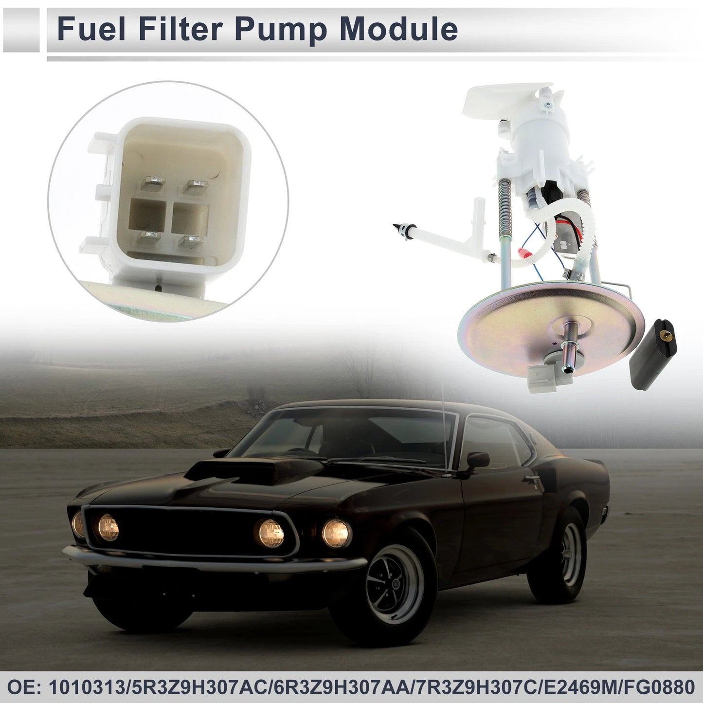 Fuel Pump Assembly for Ford Mustang V6 4.0L V8 4.6L (2006-2009)